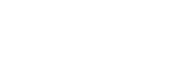 DISCOUNT BAZAR L.L.C-FZ