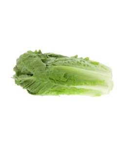 Lettuce 500gms