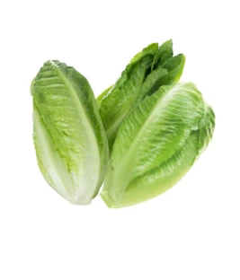 Lettuce 500gms